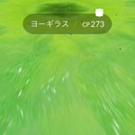 測定してもらわなくてもわかるサイズ感？ｗ小さすぎるヨーギラス出現w