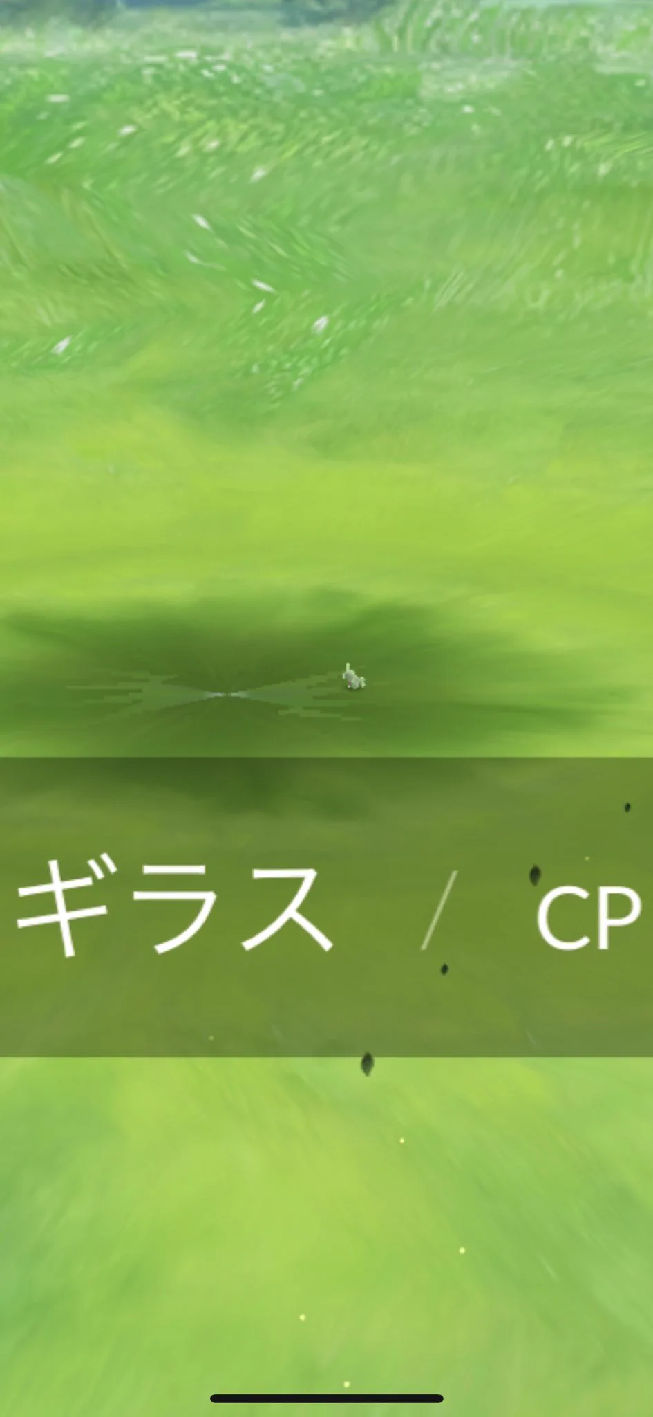 測定してもらわなくてもわかるサイズ感？ｗ小さすぎるヨーギラス出現ｗｗ