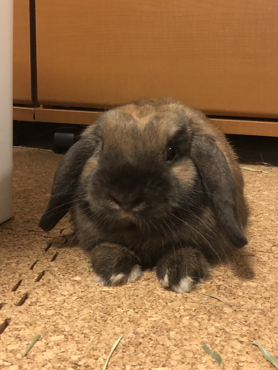 メテオ (@m_meteo_m) on Twitter photo 