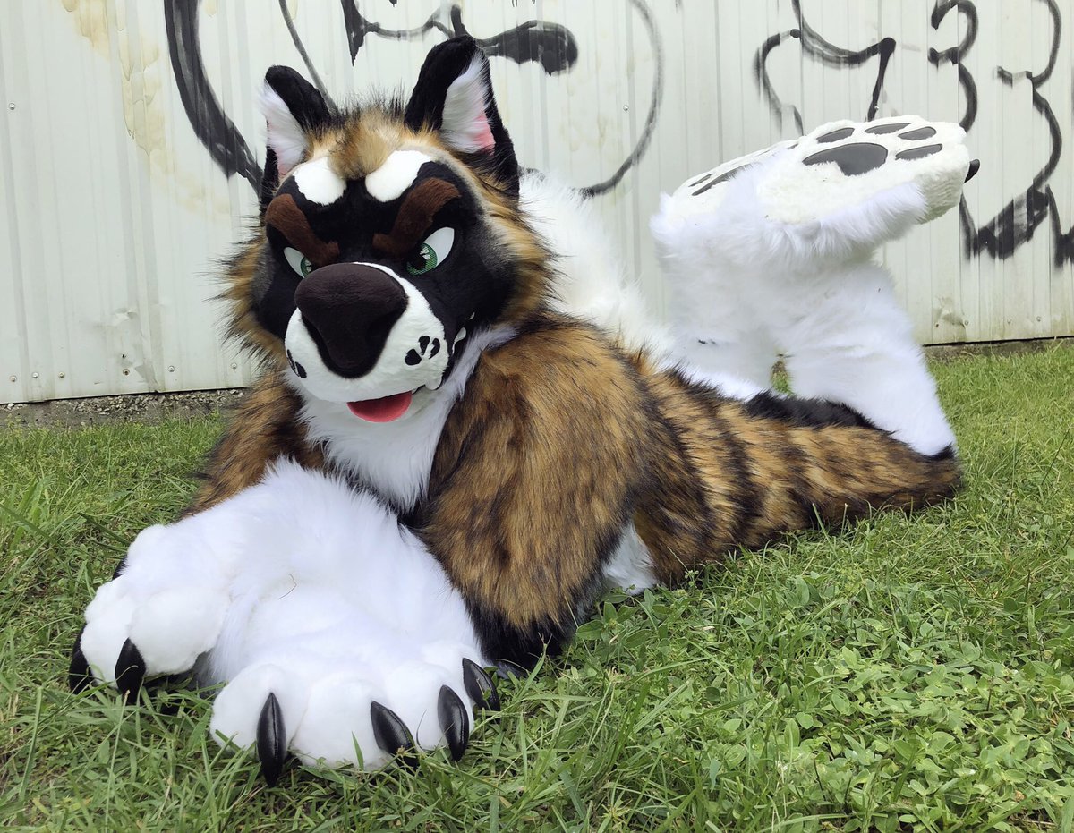 https://www.thedealersden.com/listing/akita-fursuit-by-mixedcandy/135098.