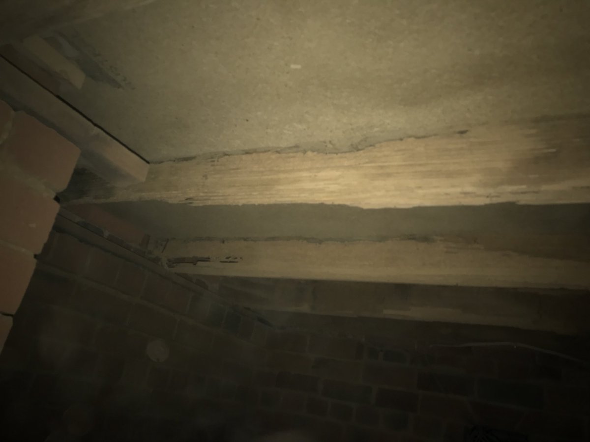 Is your subfloor dry!? Moisture=termite =health=building maintenance <a href="/mouldsquad/">Mould Squad</a> #@mouldsquad