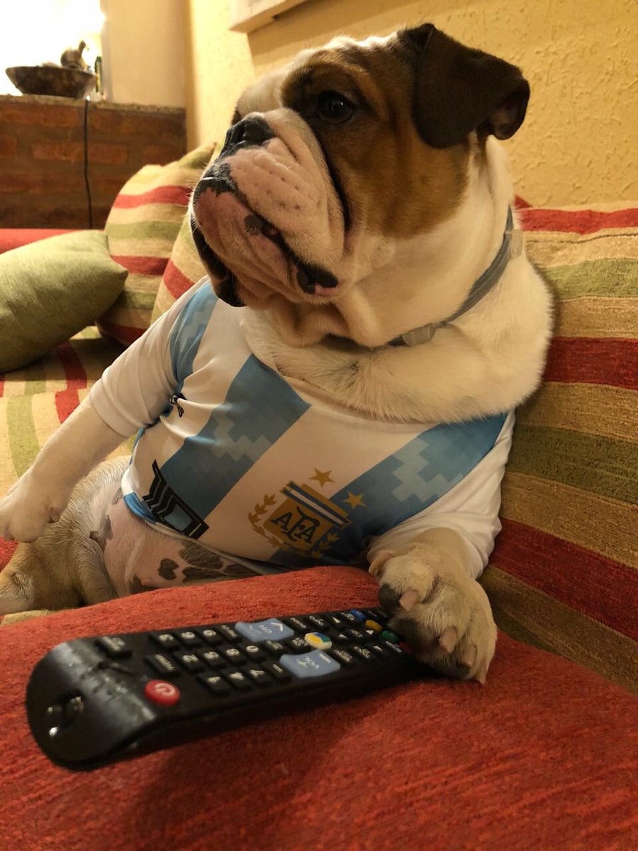 pajobianchi's tweet photo. Esperando el partido, mirando TN #TNMundial https://t.co/k5or4Sjph9