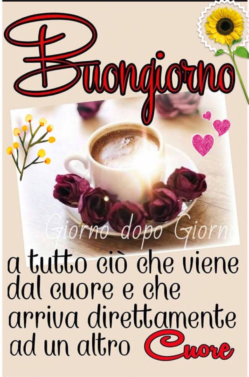 Lunedì Martedì Mercoledì Giovedì Venerdì Sabato E Domenica In Inglese Adriana Festa on Twitter: "BUON SABATO E BUON WEEKEND A TUTTI VOI CARI