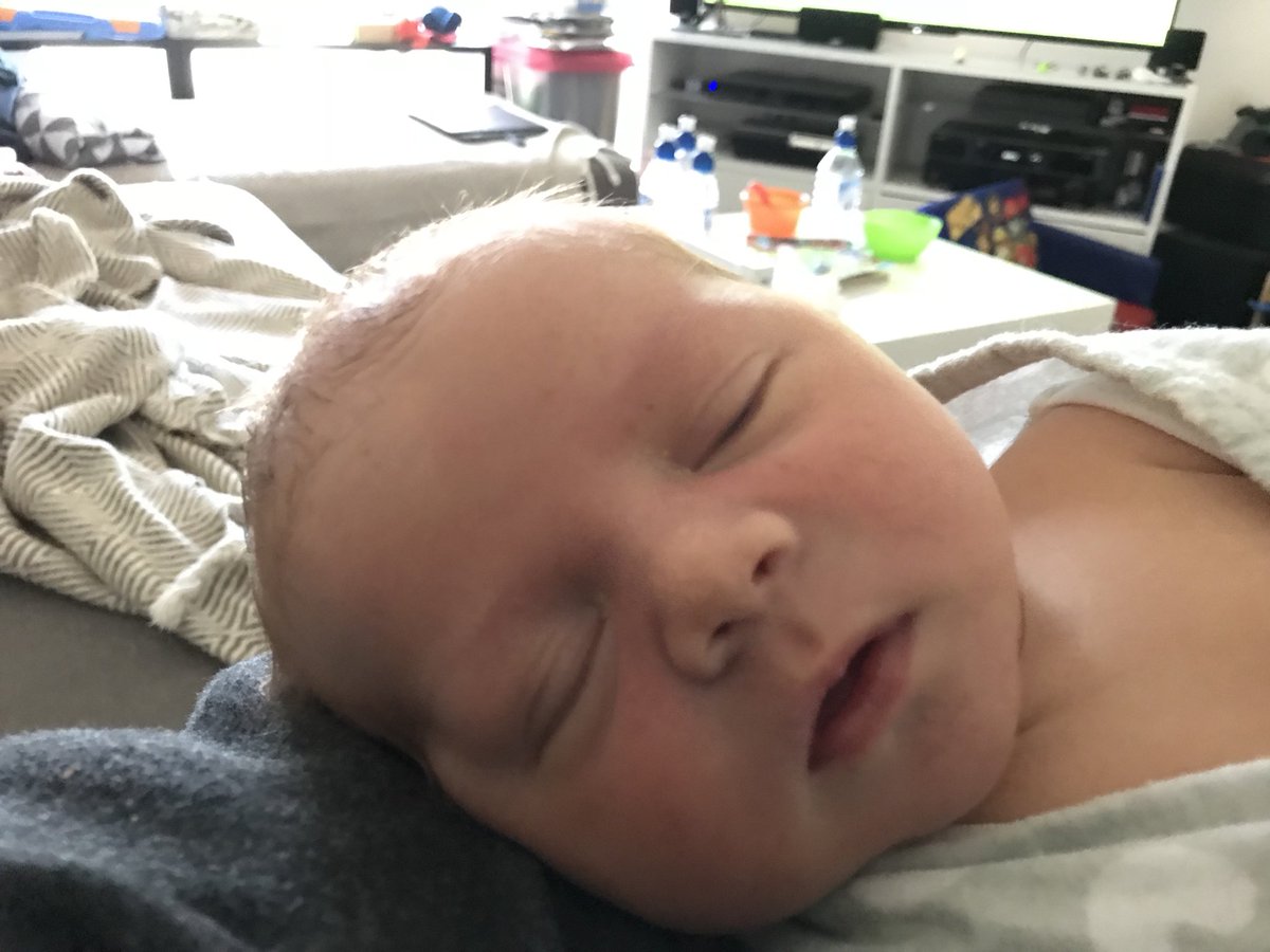 greenHaji7211's tweet photo. Little Anthony is content with Freo’s performance. #gofreo https://t.co/3ECpgzC0EN