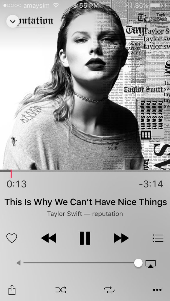 Day 5: This Is Why We Can't Have Nice Things by Taylor Swift