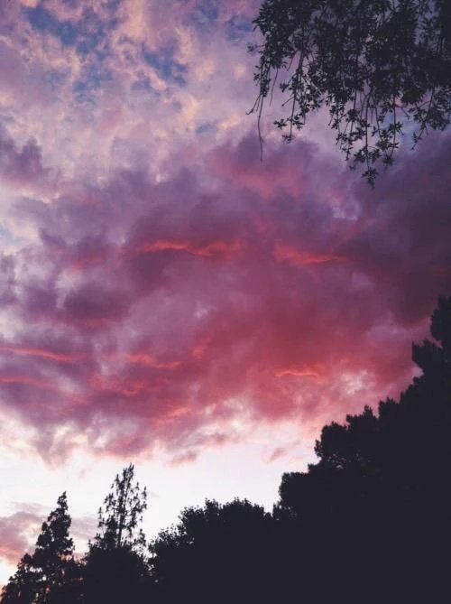 CameraTrickTips's tweet photo. Sky is love https://t.co/qlYJePH5U9