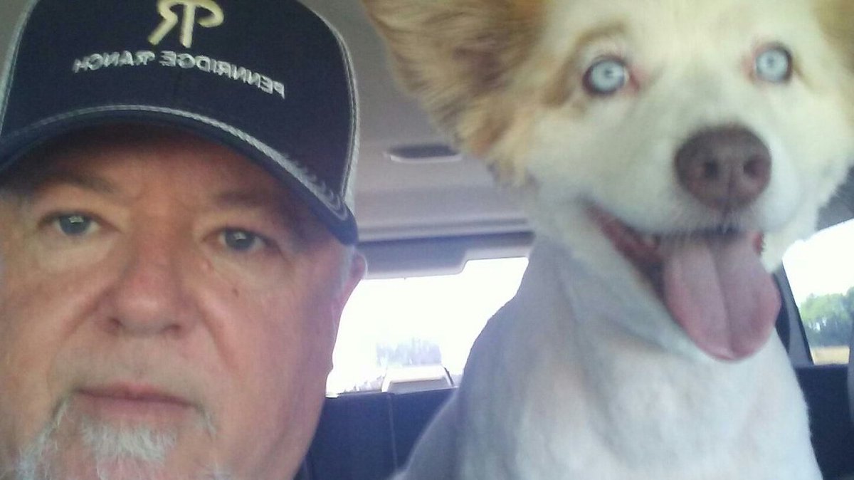 tv_tammy's tweet photo. My brother Todd &amp; one of his dogs. https://t.co/BKZIAyfZuE