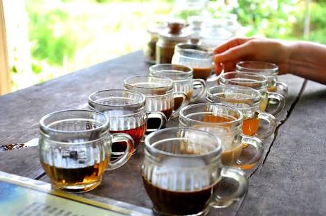 BaliFunService's tweet photo. Bali original coffee - luwak coffee #bali #cafe #coffeeshop #healty #drink #coffee #sugarfree https://t.co/d2Ib08QBv2 https://t.co/dxblTvstm0