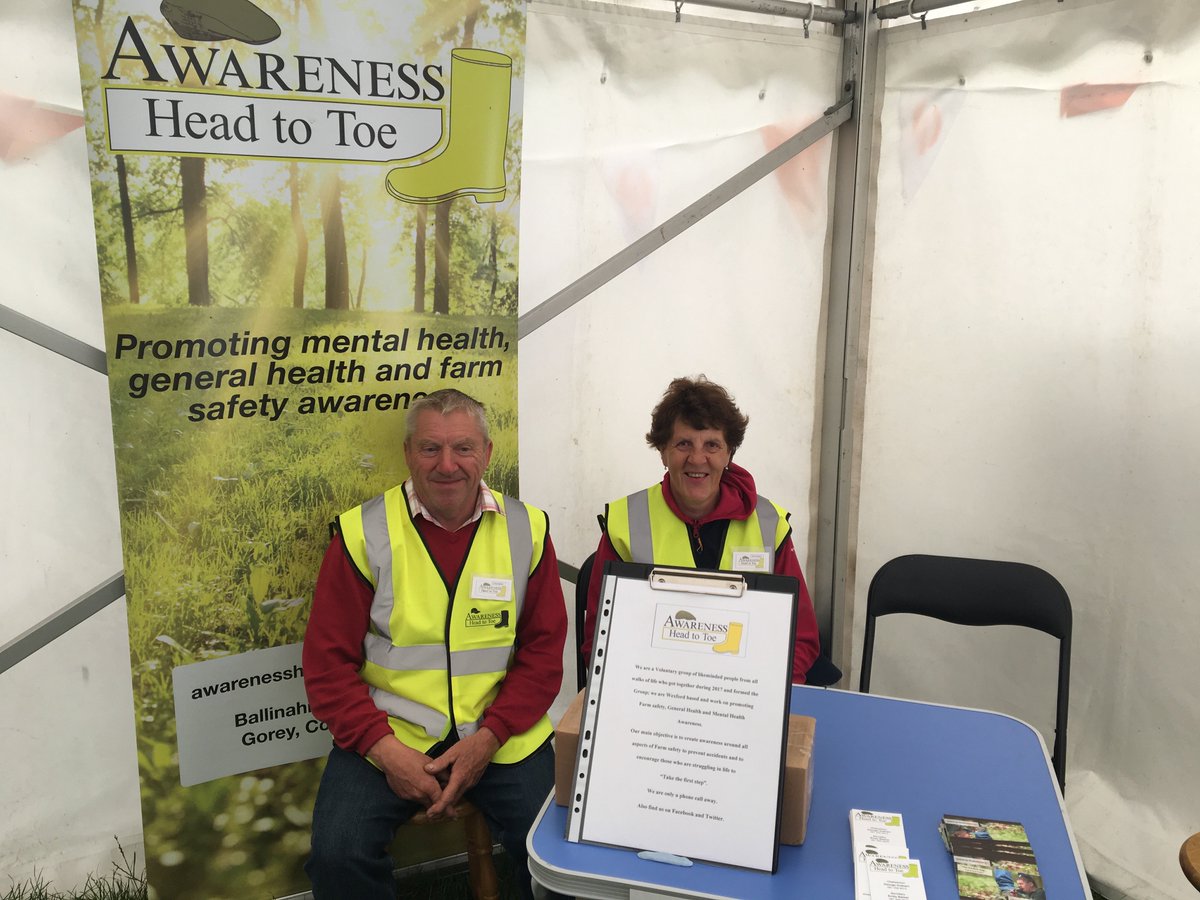 Awareness Head to Toe at Gorey Show Today