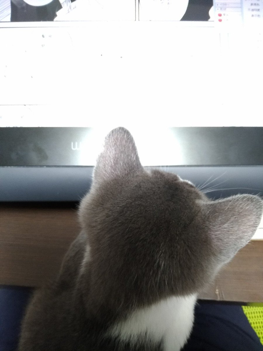 「作業見ててやろうかと思ったけど眠いわ」 