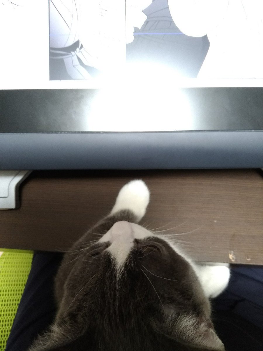 「作業見ててやろうかと思ったけど眠いわ」 