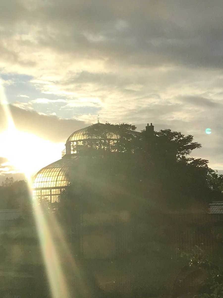 stpatdaydublin's tweet photo. What an experience to be at @GlasnevinNBG for @@quatuorvankuijk as part of @GreatMusicIrl https://t.co/IEQxNIDbkP