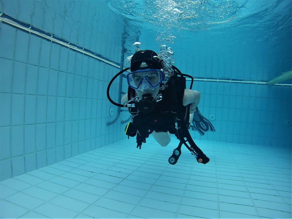 diving_seals's tweet photo. join our next #padi course and experience breathing #underwater 💦
#sealsdivingcenter #scubadiving #diving #diver #divinglife #tryscubadiving #pool #water #explorescubadiving #explore #picoftheday📷  #visitgreece #Greece🇬🇷 https://t.co/9ylca4RXH9
