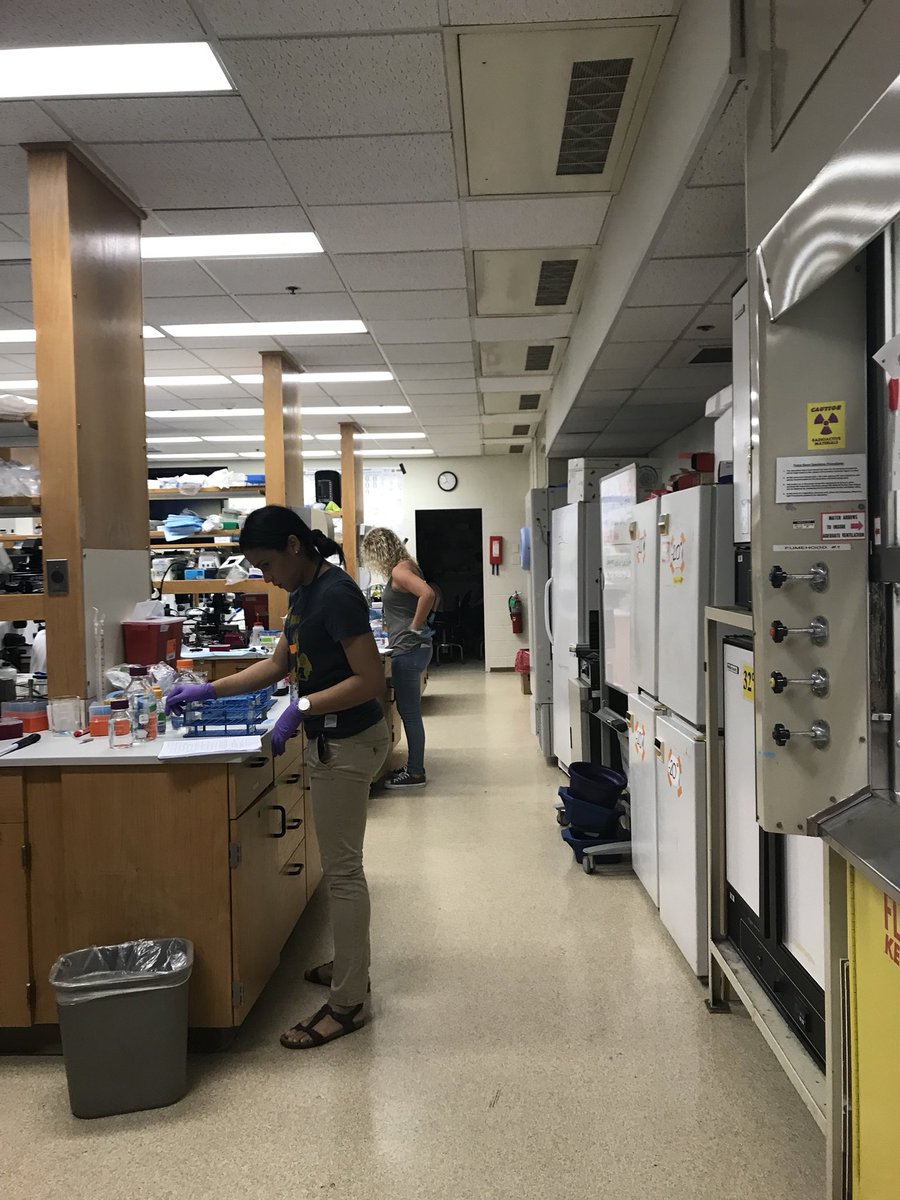 amyralston's tweet photo. Early morning at the #MouseCourse and our amazing TAs are already on 🔥 !! @cshlmeetings https://t.co/RrKn11qc3k