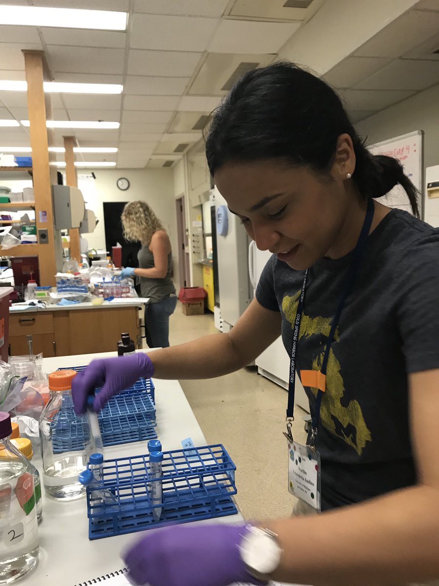amyralston's tweet photo. Early morning at the #MouseCourse and our amazing TAs are already on 🔥 !! @cshlmeetings https://t.co/RrKn11qc3k