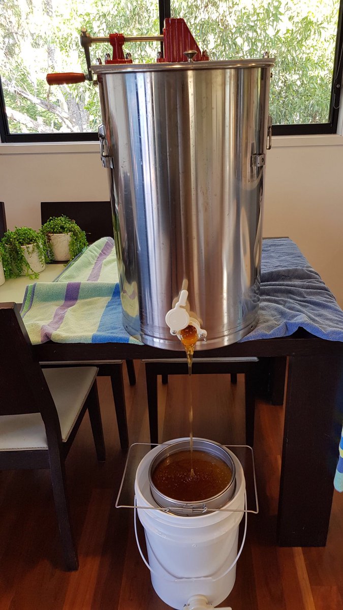 full_note's tweet image. Beehives my own beautiful 🐝🐝🐝🐝🐝🐝😂 I am a winner