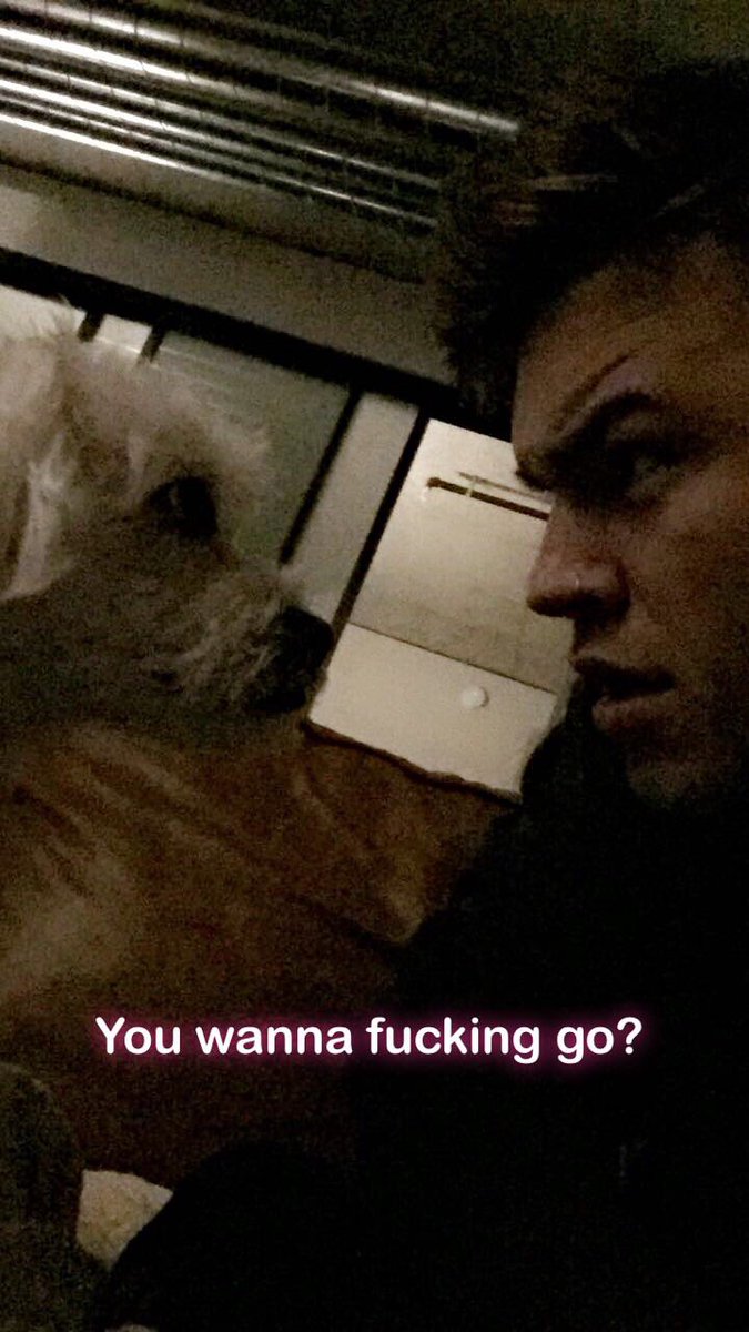 Eptic's tweet photo. I don’t care if you’re a person, animal, plant or object i’m ready to throw down😤 https://t.co/kYV769BHjP