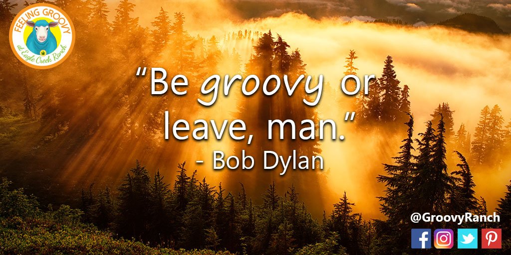 GroovyRanch's tweet photo. Words to live by.

Visit our #cannabis-friendly ranch &amp; enjoy the #outdoors!
https://t.co/F2R7UxdABE 
#vacation #travel https://t.co/r8DVlb04G2