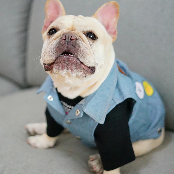 custom_frenchie's tweet photo. Frenchie Denim Patch Vest!
Sizes from XS to XXL <3
Click the link below:
https://t.co/AedpY9hYvD
#frenchie #frenchbulldog #customfrenchie https://t.co/dFbtZd4J5g