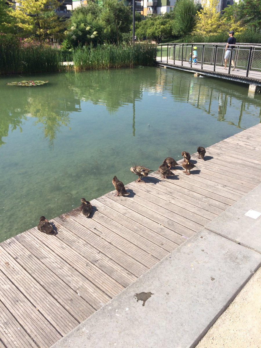 Famille nombreuse qui profite du soleil au parc de la caserne de Bonne, au bord du plan d'eau. #Grenoble