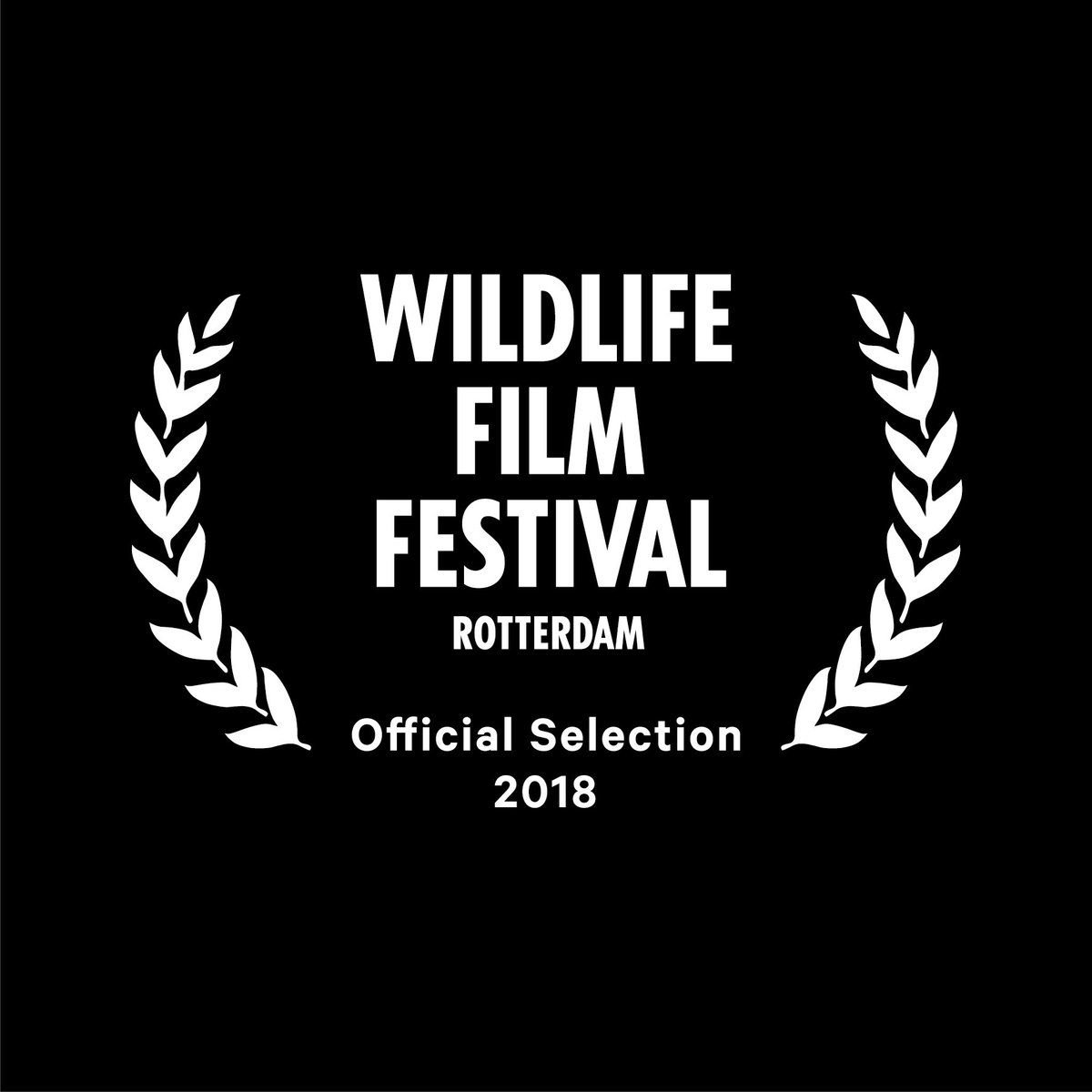 ifawglobal's tweet photo. We are happy to announce that #SonicSea has been selected for the Rotterdam Wildlife Film Festival taking place this October! #StopOceanNoise #wffr2018 https://t.co/5egRCMiFEb
