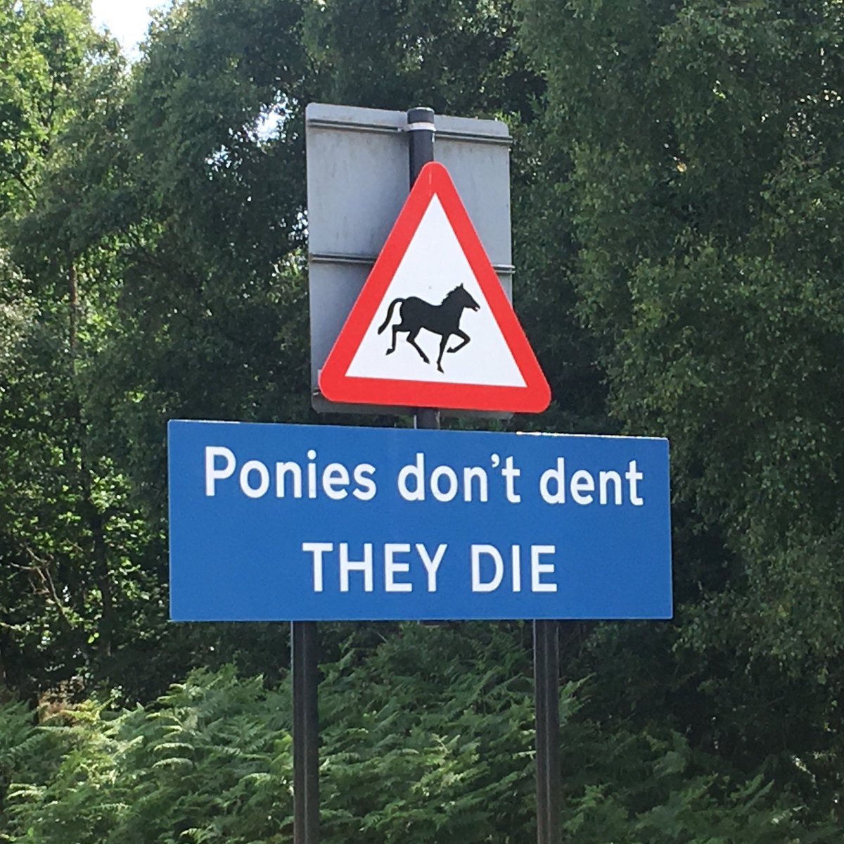 Fordingbridge47's tweet photo. Planning a trip to the #NewForest this weekend? 🌳 There’s lots of foals to see out &amp; about with their proud Mum’s.🐴 Remember that the speed limits are there to keep the animals safe so please adhere to them &amp; drive slowly giving the ponies plenty of room! #TeamHants #DriveSafe https://t.co/p2u0sTdTOl