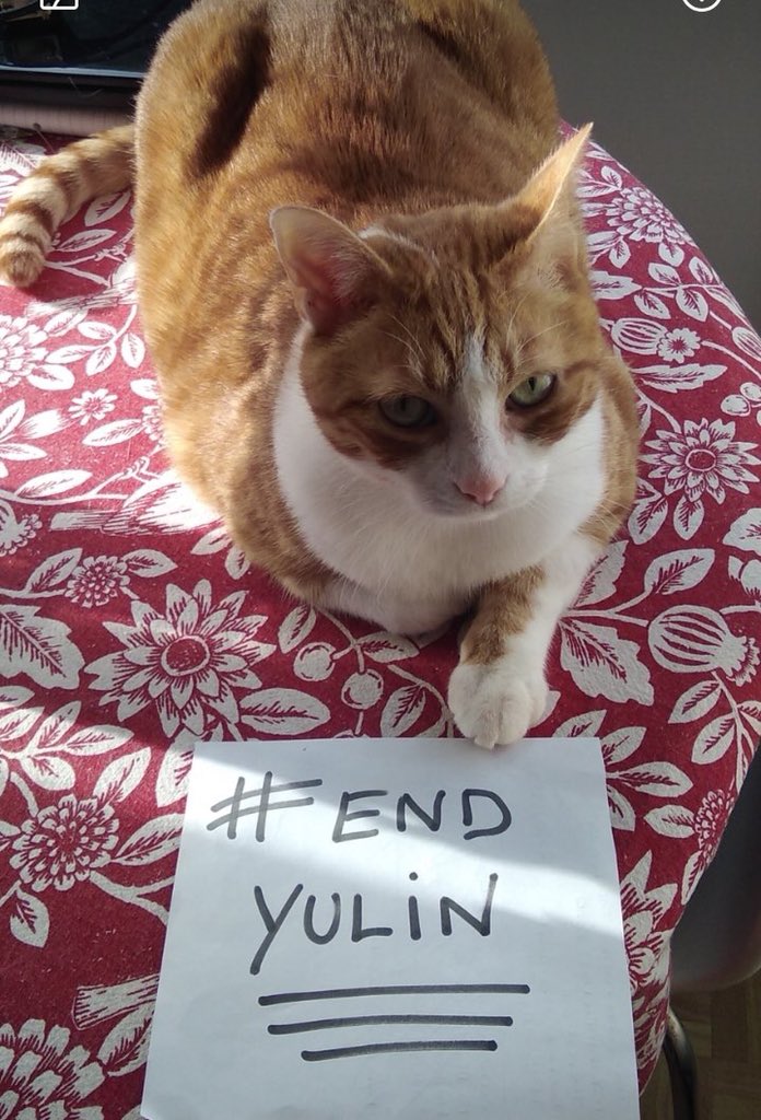 humaneworlduk's tweet image. We are in love with your beautiful furry friend photos to #EndYulin 🐕🐈 Last chance to sign &amp;amp; share Hsi.org/endyulin before we take your petition to Beijing!