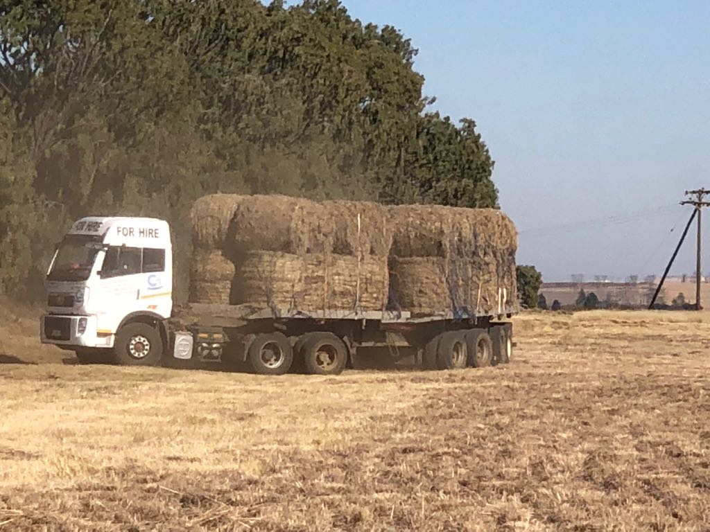 boere_in's tweet photo. #Boereinnood
@MiljoenvirSteve 
@toekomsvonk 
@volksbladnuus 
Vrag naby Henneman gelaai  Baie baie dankie oom Johan Serfontein vir soveelste skenking. Vrag oppad na Steytlerville Boere vereening betaal vervoer Veilig ry Noag en Richard https://t.co/DmfnIoRAxx