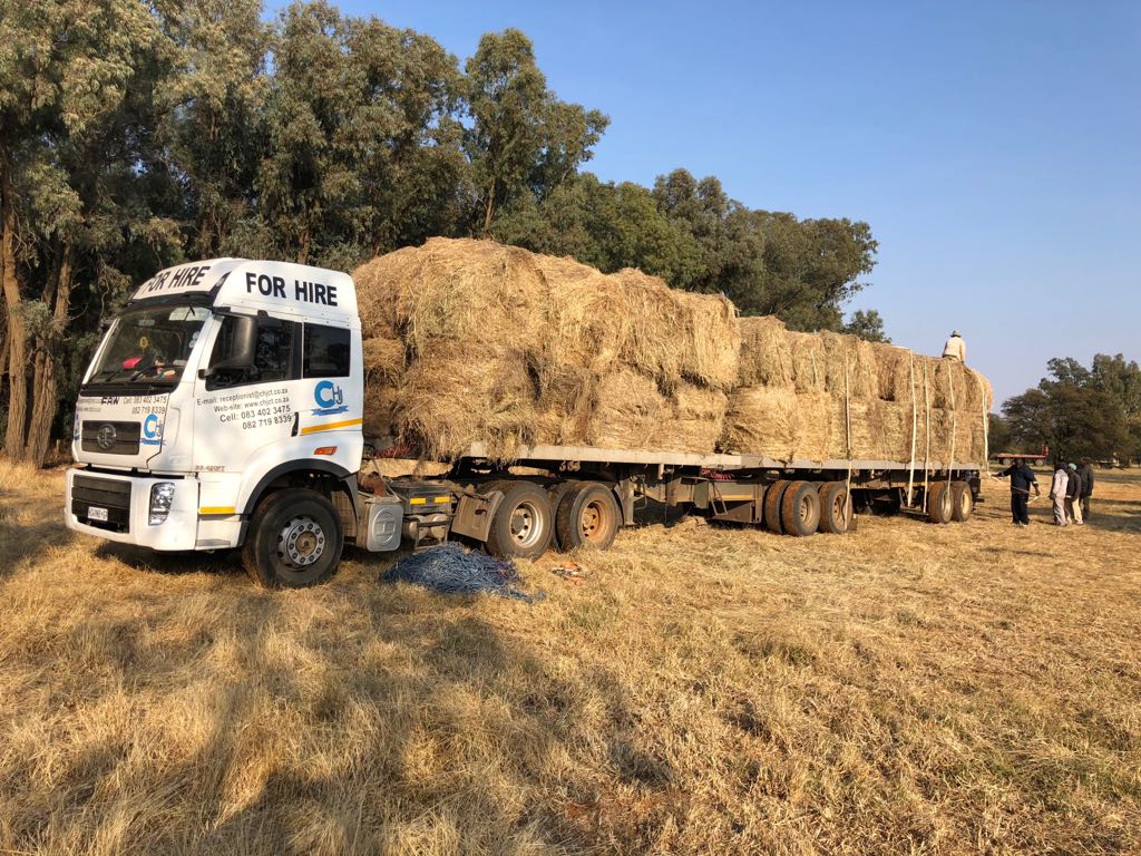boere_in's tweet photo. #Boereinnood
@MiljoenvirSteve 
@toekomsvonk 
@volksbladnuus 
Vrag naby Henneman gelaai  Baie baie dankie oom Johan Serfontein vir soveelste skenking. Vrag oppad na Steytlerville Boere vereening betaal vervoer Veilig ry Noag en Richard https://t.co/DmfnIoRAxx