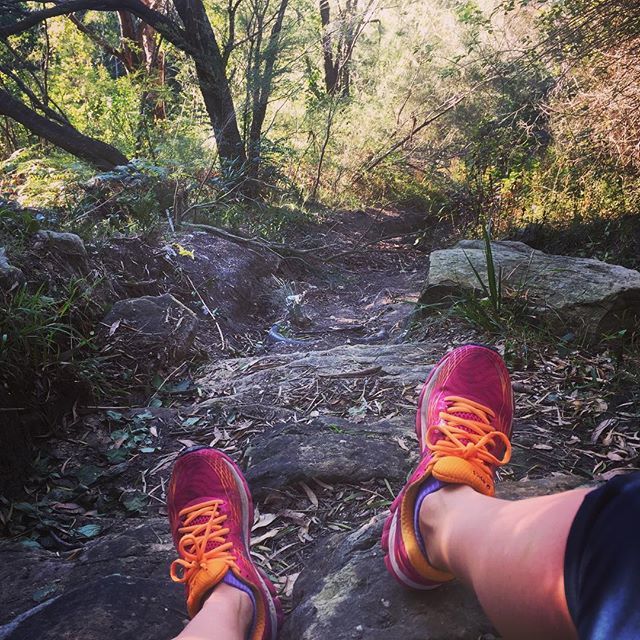 JPretoriusAU's tweet image. So good to be wearing these goodies again.... #firstrunback...how painful but amazing! #exploringthebush #running ift.tt/2JH2qTT