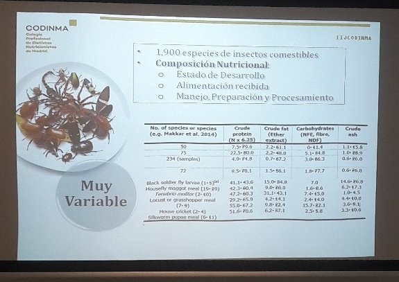 ihigueraDN's tweet photo. Estupendo el repaso de  fuentes proteicas sostenibles en #IIJCODINMA de @Codinma_DN Insectos: muchas especies comestibles pero su riqueza nutricional depende de la crianza. https://t.co/ziA5H402kU