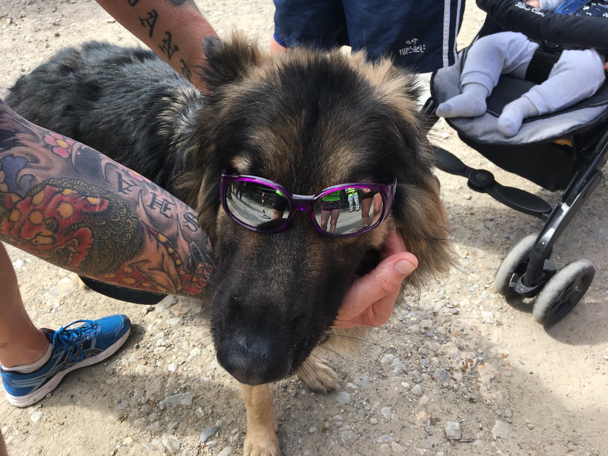 steveksn's tweet image. Day 533. Great to have been back at @Maidstonepkrun with the guys and girls. Seriously impressed with my 9 year old Ellie who registered her fastest time this year too. #loveparkrun #JoinInJune #ukrunchat