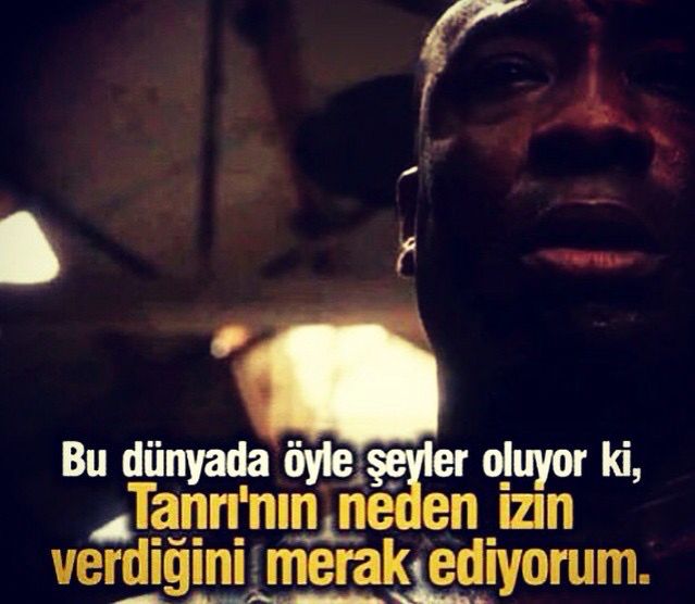 20 DAKİKADIR RESME BAKIYORUM

AKLIM MANTIĞIM HAVSALAM ALMIYOR

SUÇLU HİSSEDİYORUM KENDİMİ 

VE MERAK EDİYORUM...................................