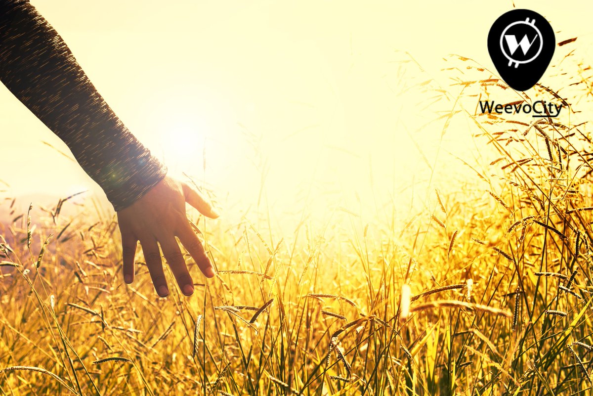WeevoCity's tweet photo. Plant a dream... Weevo City 🌐 🌐 🌐 #Crypto #cryptocommunities #CryptoNews #coincheck #coinexchange #cryptoallstars #Weevocity #wee https://t.co/e5CNM17mIE