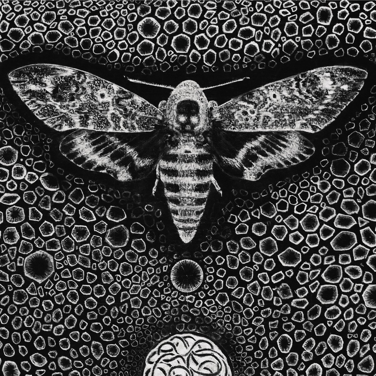 Let Oratrism - "Psukhê" take you on a journey of emotions - 
play.google.com/music/preview/…

Mastered by Mike Hinton @ The Exchange / MSTRD Mastering @mstrdmusic #oratrism #mastering #music