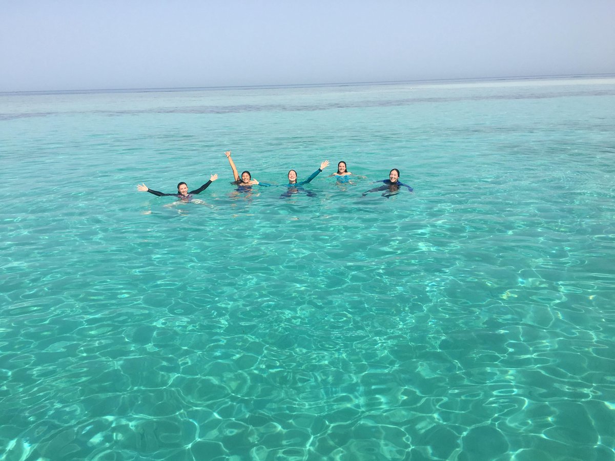 Used our work break to dive in and appreciate the the sights and sounds of the Red Sea - Day 6 of @30DaysWild! #AtOneWithTheOcean #OurBluePlanet #RelaxInNature #TeamMarineScienceMasters @aislinnfjdunne @RandleJanna @milica_pr @lynds_sea