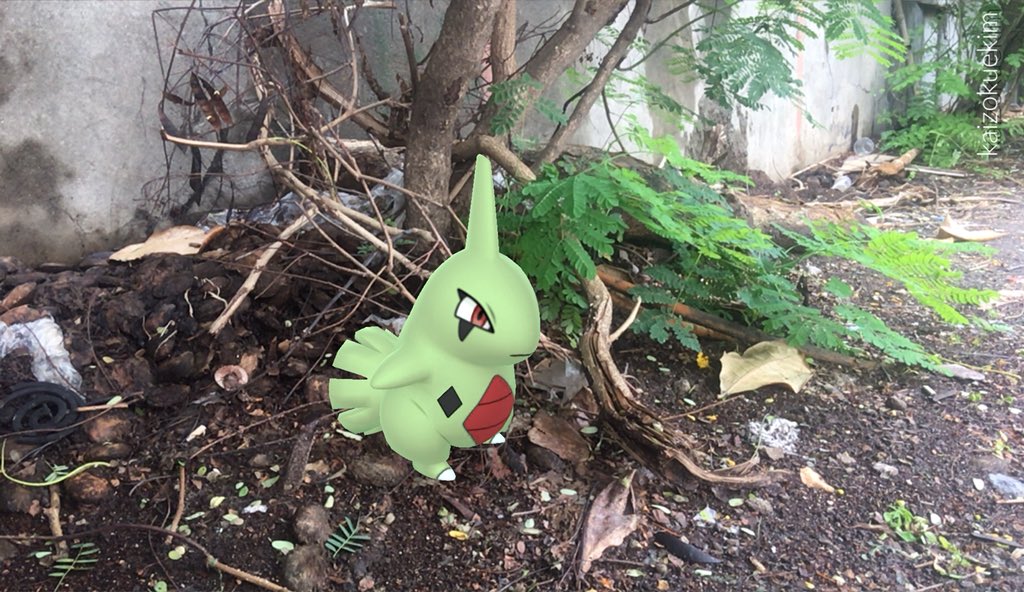 kaizokuekim's tweet image. Happy #PokemonGOCommunityDay i just caught 151 #Larvitar 3 are shiny #ARPlusMode #TeamCH