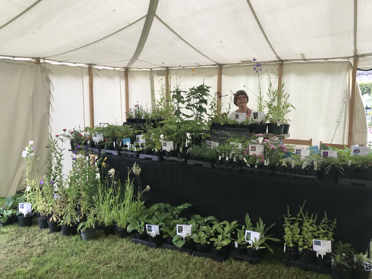 Plenty of gardening to be done this weekend - join in <a href="/GilbertWhites/">Gilbert White's House & Gardens</a> Unusual Plants Fair