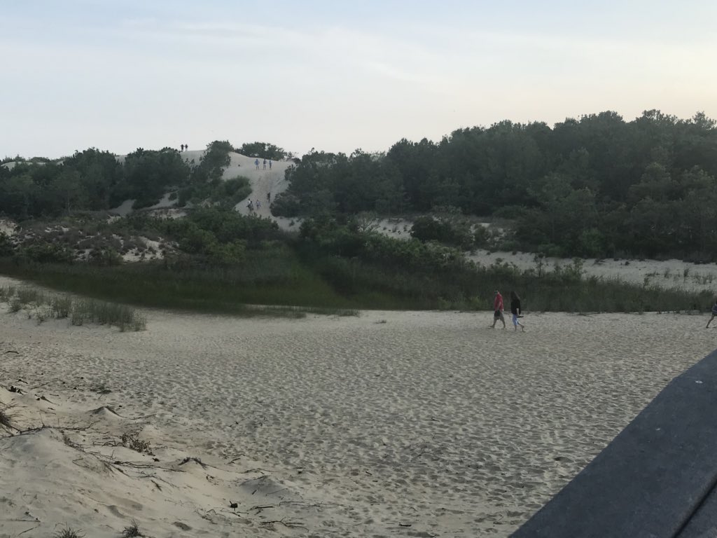 Robyn McCormack (@robyn_wynnette) | Twitter