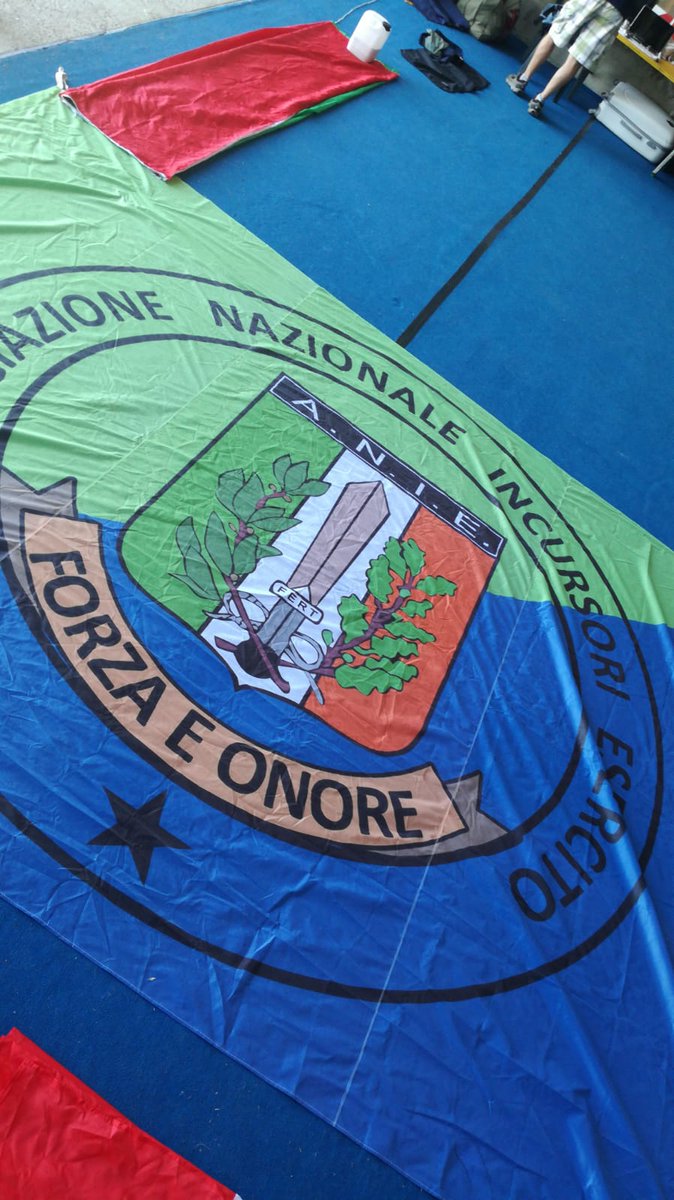 ANIEsercito's tweet image. #anie #colmoschin #incursori
Getting ready for the big Jump.....