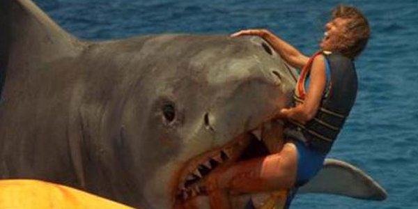 Today in 1978 #Jaws 2 released theatrically
#RoyScheider #LorraineGary #sharks #horrormovie #UniversalPictures 
#film #PeterBenchley