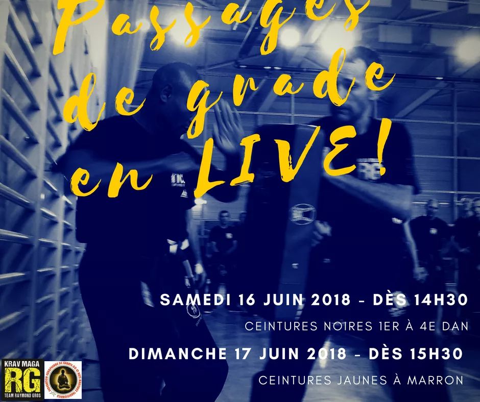 KravmagaTeamrg's tweet photo. Toute la team #kravmagateamRG encourage et souhaite pleine réussite aux 18 participants qui passent ce jour leur ceinture noire du 1er au 5eme DAN. Des lives auront lieu a partir de 14h30 pour partager avec vous cet événement #fekamt #kravmaga https://t.co/URg0FvcoU6