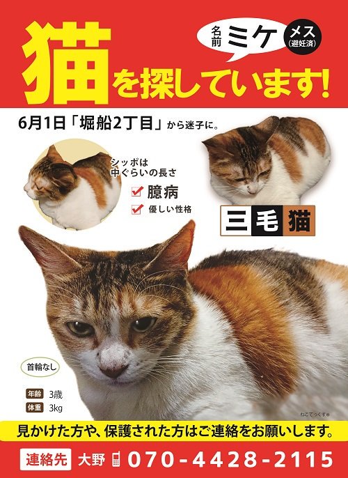 ゆう على تويتر 迷子猫 ミケちゃんを探しています 6 1 東京都で迷子に とてもおとなしい三毛猫の女の子 情報をお持ちの方 保護して下さっている方 ご連絡お待ちしています 迷子猫 迷い猫 東京都 北区 尾久 あらかわ遊園 三毛猫 メス T Co ゆう على تويتر 迷子猫 ミケちゃんを探しています 6 1 東京都で迷子に とてもおとなしい三毛猫の女の子 情報をお持ちの方 保護して下さっている方 ご連絡お待ちしています 迷子猫 迷い猫 東京都 北区 尾久 あらかわ遊園 三毛猫 メス T Co