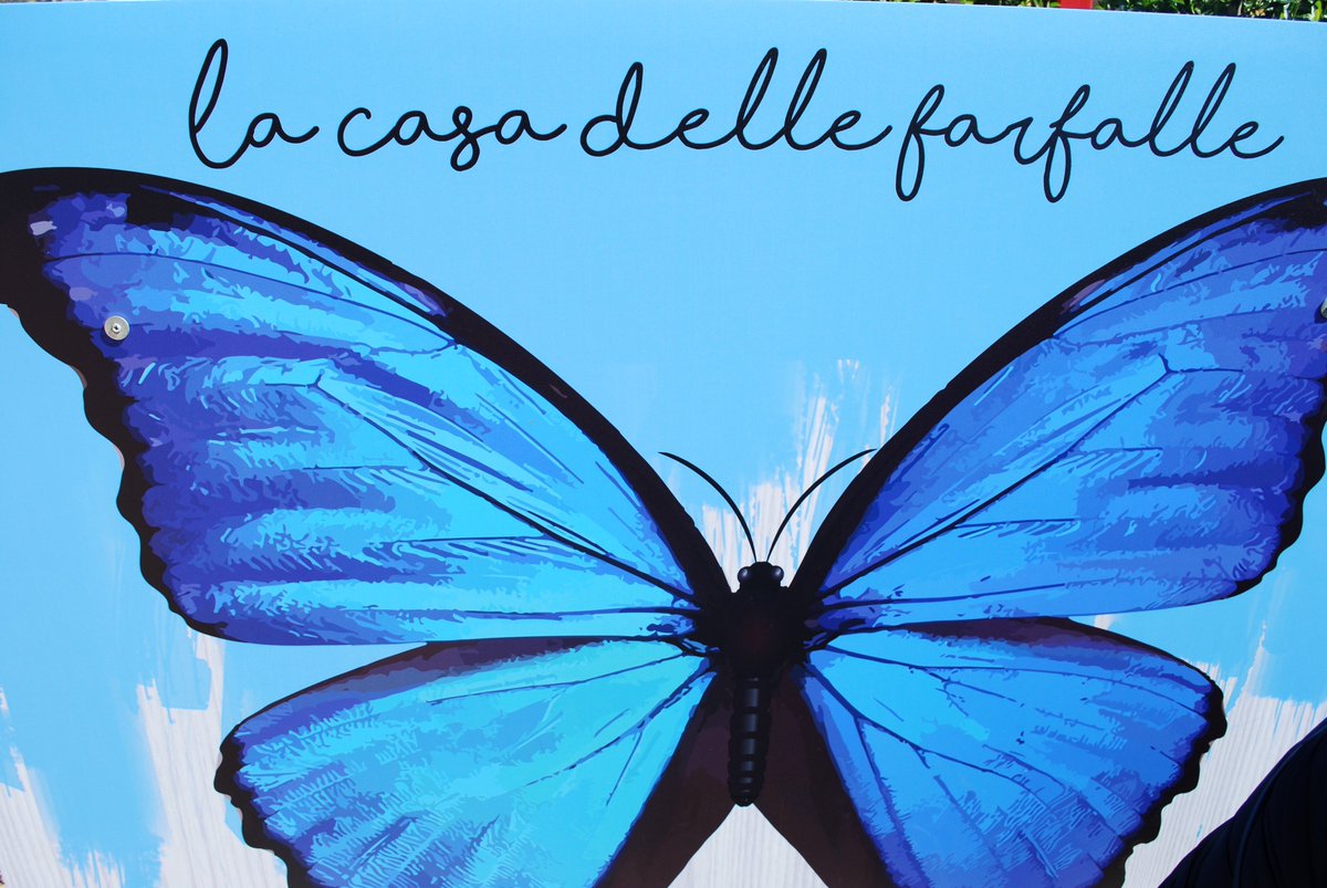 AralemM's tweet photo. La #CasadelleFarfalle a Roma è perfetta per le famiglie ❤ ma anche per eventi privati https://t.co/OKHZekKsvZ. https://t.co/flHm3gdies