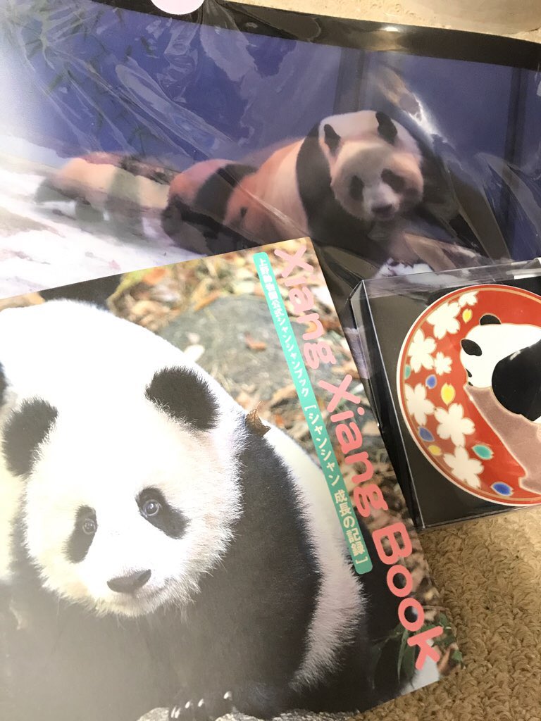 天川 シャンシャンとシンシンのひざカックンなクリアファイル 私が貰ったのが最後の1枚だったらしく店員から 大事にしてください と言われました 大事にします 角度によって動くのがイイ