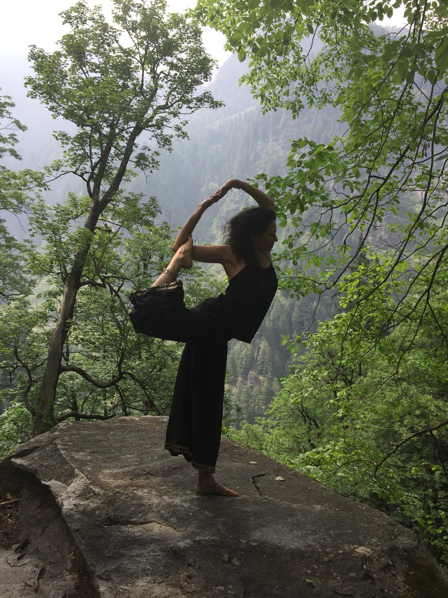 realmsofdance's tweet photo. Shinrin yuko - Japanese for forest bathing. I breathe in the forest. I let the forest breathe me.
At 8000ft, edge of ecstasy - Manali Wildlife Sanctuary, Himalayas. Photos by Cajal Mandira Banon
#zianath #Himalayas #YogaPractice #manali #mountainyoga #forestyoga #shinrinyuko https://t.co/V9s7NKz02x