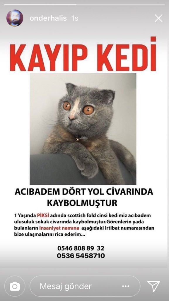 cerenle's tweet photo. Yavrumuz kayboldu! https://t.co/mPeBNy6do8