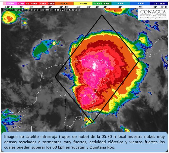 Ver imagen en Twitter