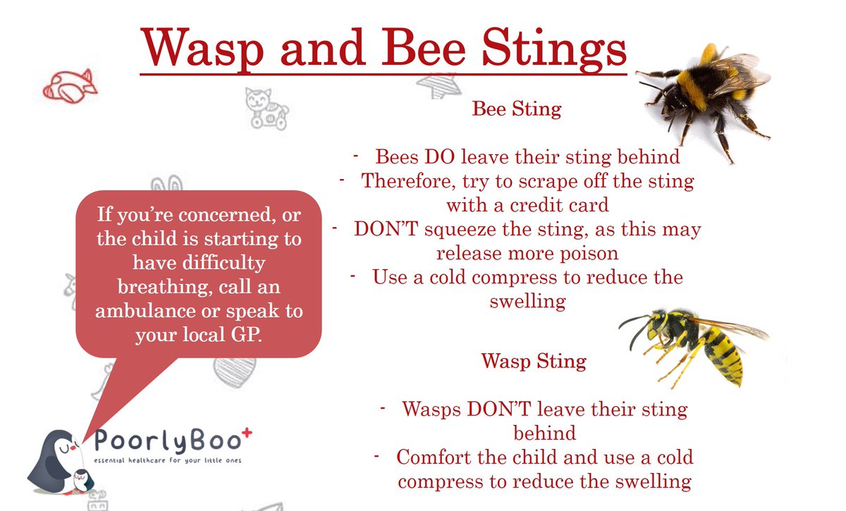 Now the weather is warmer, bees and wasps are about 🐝🐝🐝 #whattodo #advice