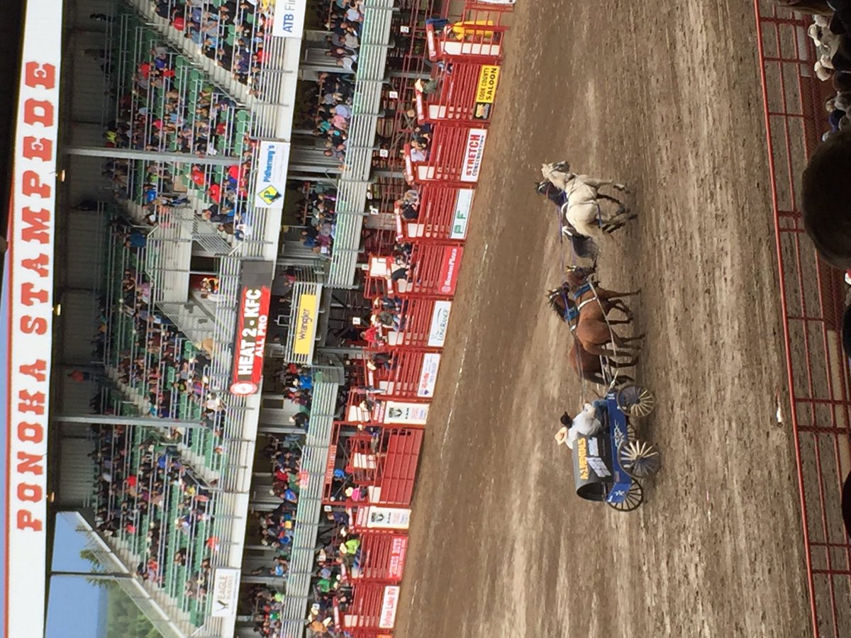 Long weekend fun #stampedesquad #ponokastampede